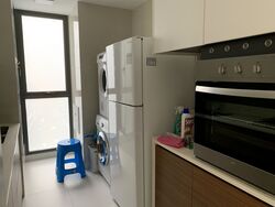 The Miltonia Residences (D27), Condominium #553920551